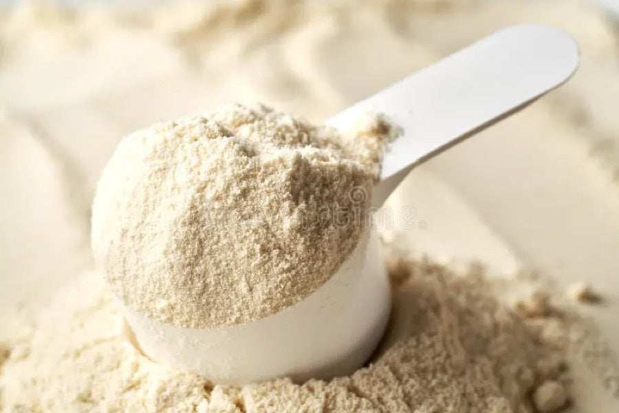 A scoop of whey protein